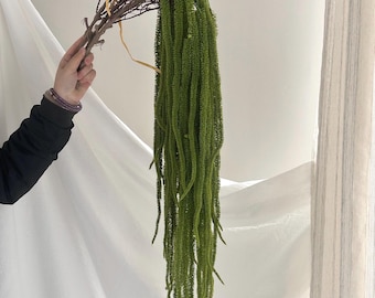 Large Artificial Hanging Amaranthus Stem – Hanging Flower for Bouquets, Garlands & Event Styling, Fake Amaranth Branch, Artificial Plant