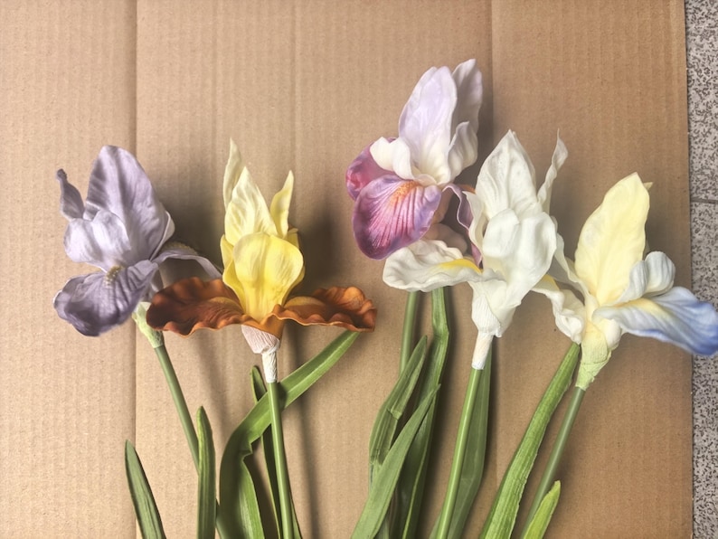 Pu&ograve; includere: Una collezione di quattro fiori di iris artificiali con steli e foglie verdi. I fiori presentano tavolozze di colori variegate tra cui viola chiaro, una combinazione di giallo e marrone, un mix di viola e bianco e una miscela di giallo pallido e blu.