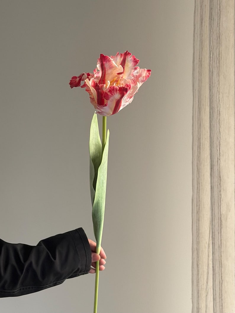 Fake parrot tulip flower,artificial tulips stems, Real touch tulip,fake flower arrangements,fake tulip for Mothers Day gift Bubblegum