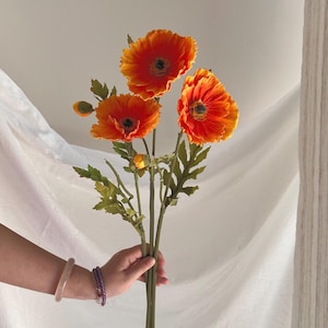 Pode incluir: Um buquê de vibrantes flores de papoula laranja com centros escuros e caules e folhas verdes. As flores são seguradas em uma mão, contra um fundo branco.
