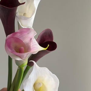 K&ouml;nnte beinhalten: Ein Strau&szlig; Calla-Lilien in Wei&szlig;, Rosa und tiefem Burgunderrot. Die Blumen haben lange, schlanke Stiele und trompetenf&ouml;rmige Bl&uuml;ten mit gelben Zentren. Der Hintergrund ist ein neutrales Grau.