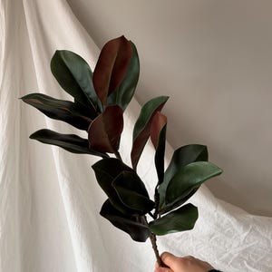 Può includere: Un fusto di magnolia finto con grandi foglie verde scuro e rovesci bordeaux. Il fusto è tenuto da una persona contro uno sfondo di tessuto bianco. Questa pianta artificiale aggiunge un tocco naturale a qualsiasi spazio.
