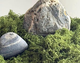 Fake moss for DIY craft Faux moss for DIY terrariums Artifical green moss for home decoration