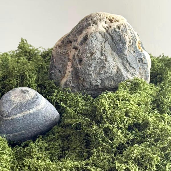 May include: Two gray and white stones rest on a bed of vibrant green moss. The larger stone has a rough, textured surface, while the smaller one is smoother with visible banding. The moss creates a natural, earthy aesthetic.