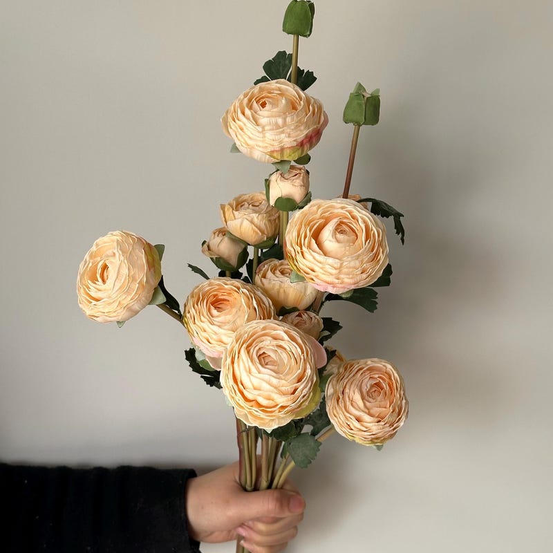 White Ranaculas Roses Preserved Ranunculus Flowers - Etsy UK