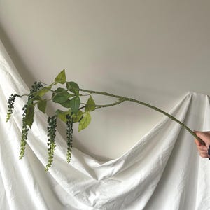 Puede incluir: Un largo tallo de planta artificial con hojas verdes y racimos colgantes de pequeños capullos verde oscuro. El tallo se sostiene contra un fondo blanco, creando un elemento decorativo natural.