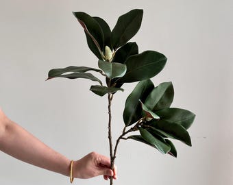 May include: A single artificial magnolia branch featuring dark green, glossy, oval-shaped leaves and a small, light-coloured, fuzzy bud at the top. The stem is brown and textured, branching into two main sections with dense foliage clusters.