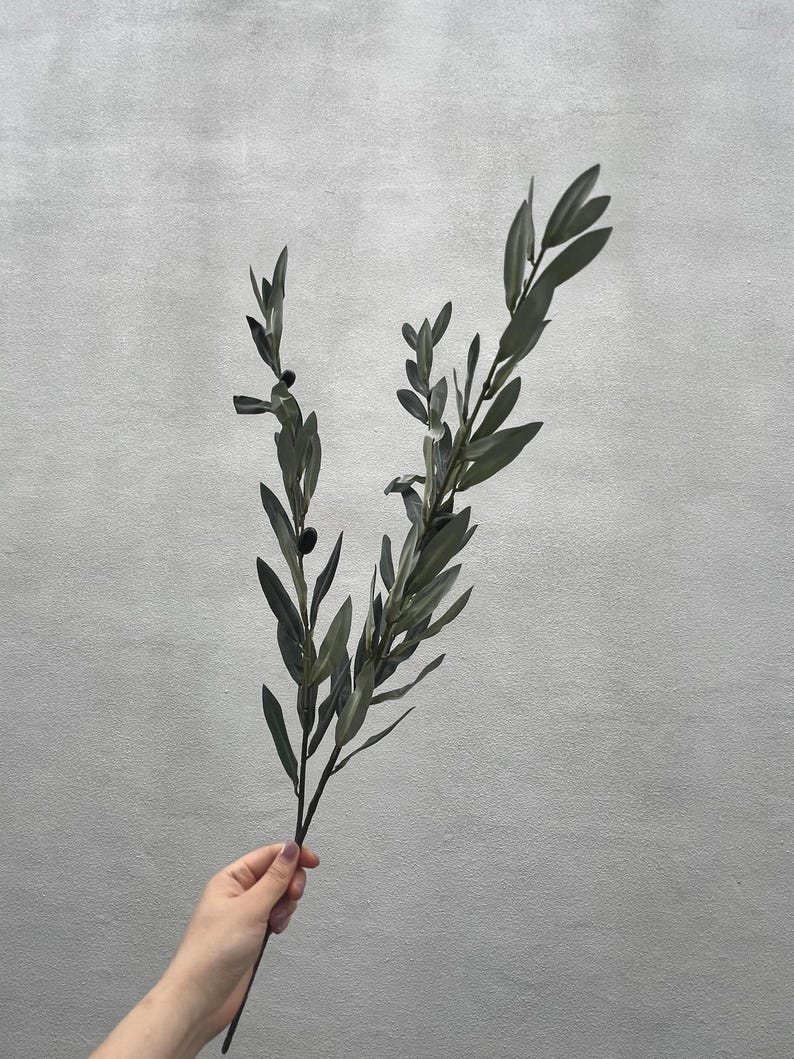 May include: A sprig of olive branches with dark green leaves and a few black olives. The branches are held against a gray background. The olive branch is a symbol of peace and is often used in home decor.