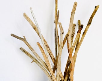 Bulk Driftwood  - 100 Pieces Raw Driftwood 6-10" or 10-20" - Natural Driftwood Sticks for DIY Crafts