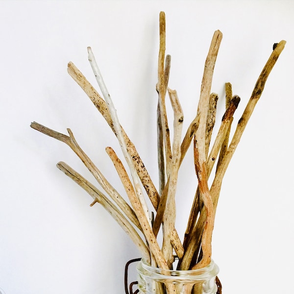 Bulk Driftwood  - 100 Pieces Raw Driftwood 6-10" or 10-20" - Natural Driftwood Sticks for DIY Crafts