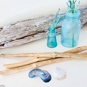 Driftwood for Macrame 16-20 x .75-1 Wall Hangings Mobiles Driftwood Display image 1