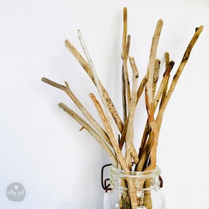 Driftwood for DIY - 6 Straight Driftwood Sticks 14&quot; - 20&quot; x .5-.75&quot; - Macrame - Mobiles - Jewelry Hangers