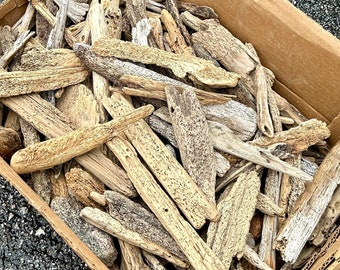 Driftwood/Wormwood 30+ Pieces 6-11&quot;  - Weathered Beach Wood with Worm Holes