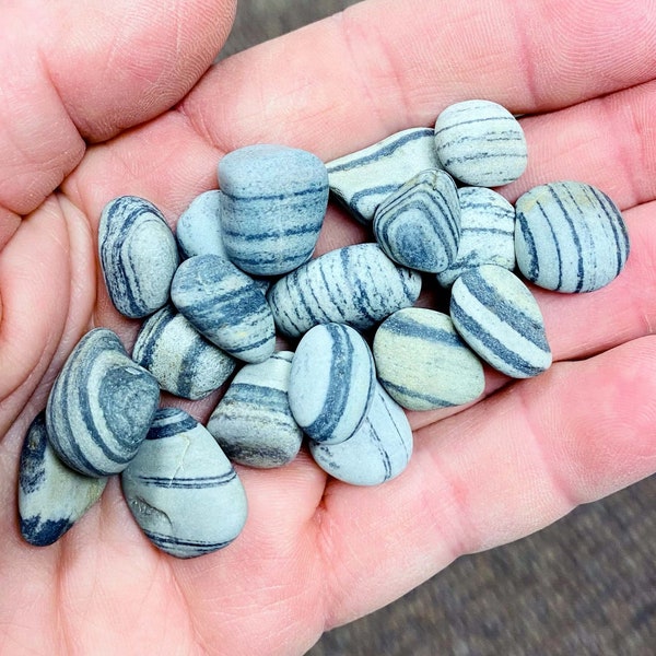 Beach Stones - 20 Multi Striped Maine Beach Stones .5- 1" -  beach house decor