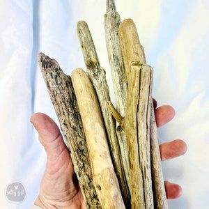 Driftwood Sticks for Macrame 6 Quality Maine Driftwood Sticks 8-12 x .75 Home Decor image 4