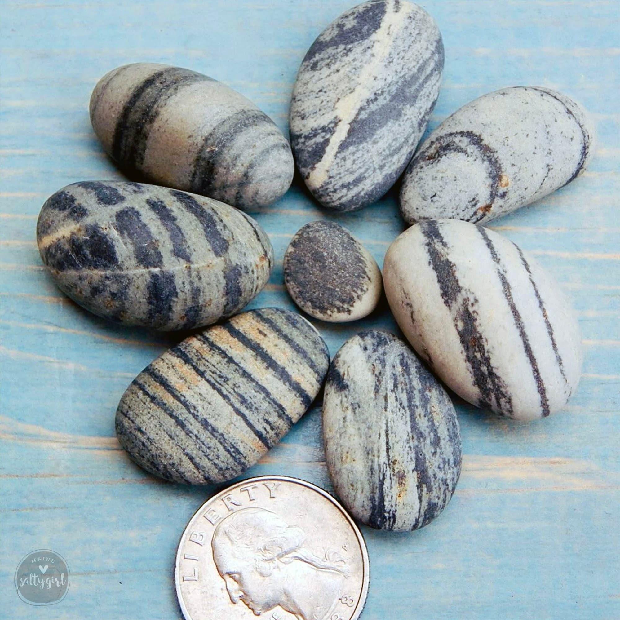 Striped Lightweight Rocks Striped Maine Beach Stone Collection – 16 Smooth .75