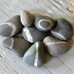 Wish Stones - Lucky Maine Wish Stones - 8 Stones with Single White Ring 1.25-2+ Inches  - Wishing Rock