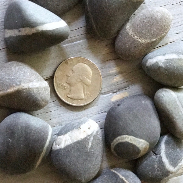 Lucky Wish Stones - Maine "Wishing Rock" Beach Stones - 12 Stones with Single White Ring  .75- 1.5"