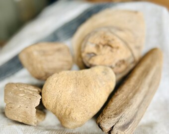 Chunky Driftwood - Chunks, Knuckles, and Knots - Natural Beach Décor & Crafting Supplies 30+ Pieces 3-6+&quot;