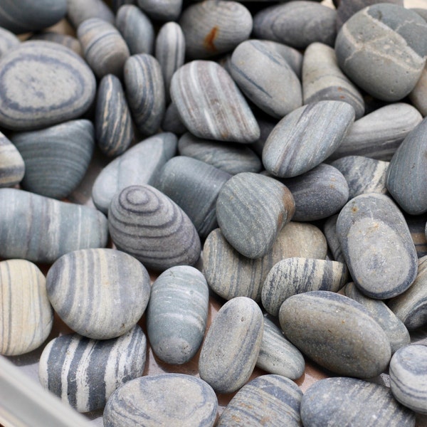 Beach Stones 1.5-2.25" - 8 Multi Striped Maine Beach Stones  - home decor, rock collecting, Maine rocks, beach house decor