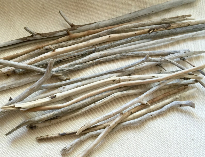 30 Driftwood Twigs Bulk Lot Thin Straight Maine Driftwood Etsy