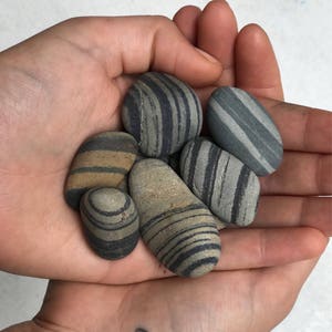 Maine Beach Stones 12 Multi Striped Rocks 1 1.5 Zen Stones Home Decor Striped Stones Smooth Stones Maine Beach Rocks image 1