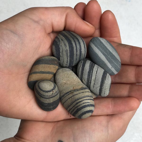 Maine Beach Stones - 12 Multi Striped Rocks - 1" - 1.5" - Zen Stones - Home Decor - Striped Stones - Smooth Stones - Maine Beach Rocks