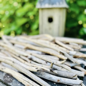 Bulk Driftwood Sticks 10-20&quot; - 100 Pieces Raw Driftwood for Crafts & Decorating  - Natural Driftwood Sticks for DIY Crafts