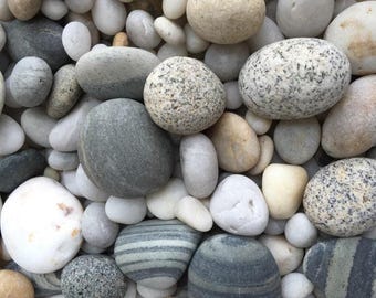 Könnte beinhalten: Nahaufnahme einer Ansammlung glatter, abgerundeter Flusskiesel. Die Steine variieren in Größe und Farbe, von Weiß und Grau bis hin zu Beige und gestreiften Mustern. Geeignet für Landschaftsgestaltung und Dekoration.