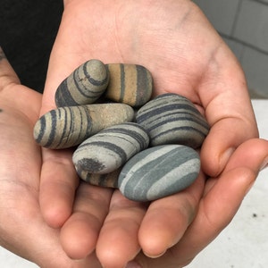 May include: A set of three ceramic mugs with a speckled, matte finish. The mugs are in shades of cream, light gray, and dark gray. Each mug has a simple, minimalist design and a rounded handle.