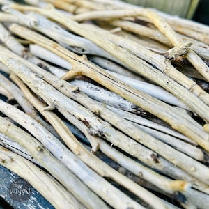 Bulk Driftwood  - 100 Pieces Raw Driftwood 6-10&quot; or 10-20&quot; - Natural Driftwood Sticks for DIY Crafts