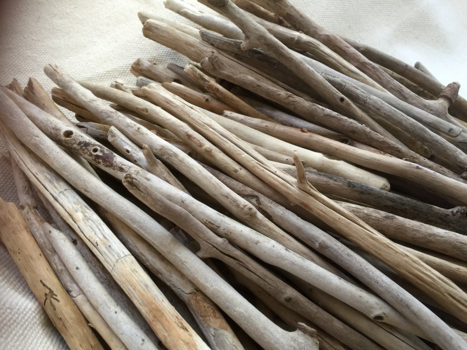 Bulk Driftwood for Coastal Decor 30 Quality Maine Beach Etsy