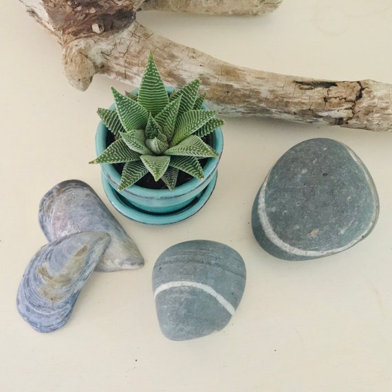 Maine Beach Wishing Rock 3 Lucky Quartz Ring Around Etsy