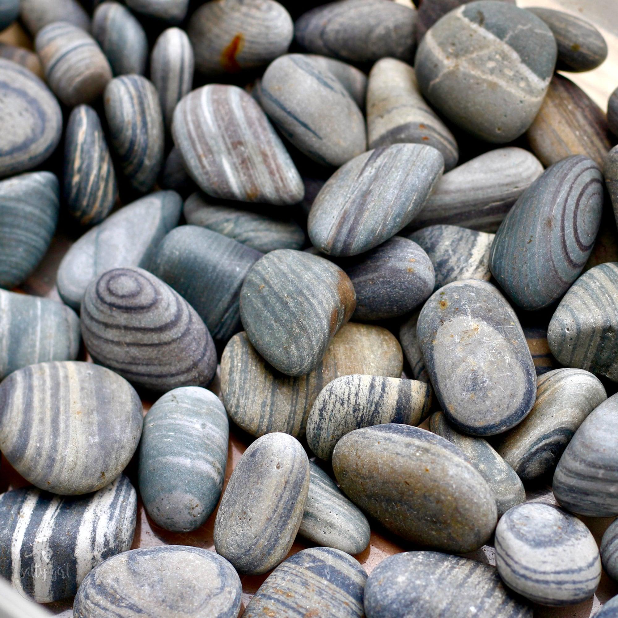 Striped Lightweight Rocks Striped Maine Beach Stone Collection – 16 Smooth .75