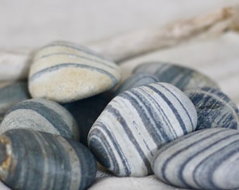Maine Beach Stones Striped Set of 12 – Large Smooth Coastal Decor Rocks 1.5-2.25