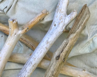 4 Maine Driftwood Pieces for Macrame, Coastal Decor, DIY Craft Wood, Wall Hanging Rods