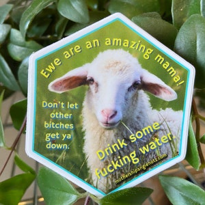 Ewe are amazing| Sweary | Vinyl stickers | Positive Affirmation |Water bottle Sticker|