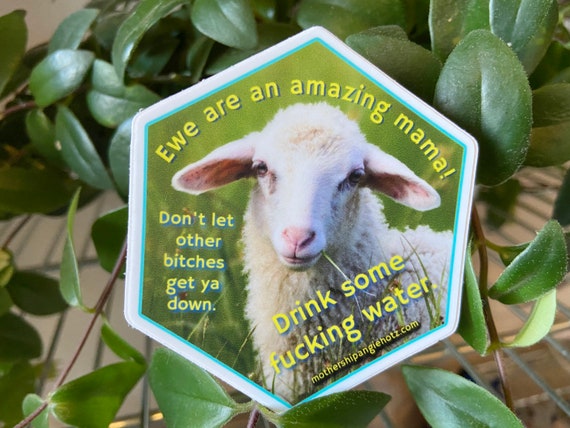 Ewe are amazing| Sweary | Vinyl stickers | Positive Affirmation |Water bottle Sticker|