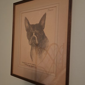 May include: A framed black and white pencil drawing of a Boston Terrier dog named "Pixie". The drawing is signed "To Dorothy and the Cherry Valley Dog Doctors" with the name "Don Griffin" below.