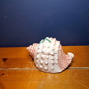 May include: A pink and white seashell shaped ceramic trinket box with green accents. The box is closed and sitting on a wooden surface.