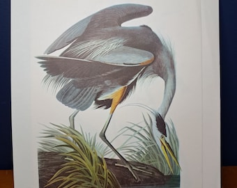 vintage John James Audubon Prints, 1985, acheter en ensemble de sept ou individuellement