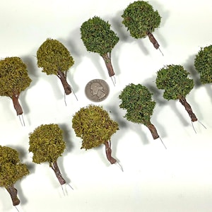10 pcs Handmade N Scale Model Trees: OAKS and MAPLES