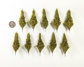 10 Handmade POPLARS for N / HO Scale Model Railroad & 15mm 28mm War Game Scenery Bases