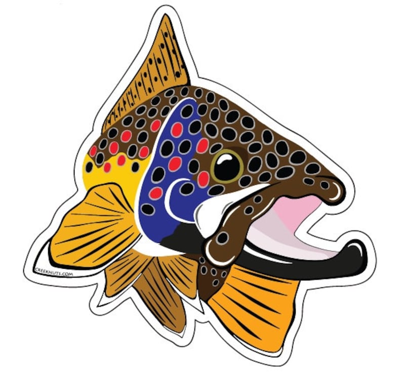 RAINBOW TROUT Sticker Decal fly fishing Kype 4/" x 4 1//2/" glossy weather proof