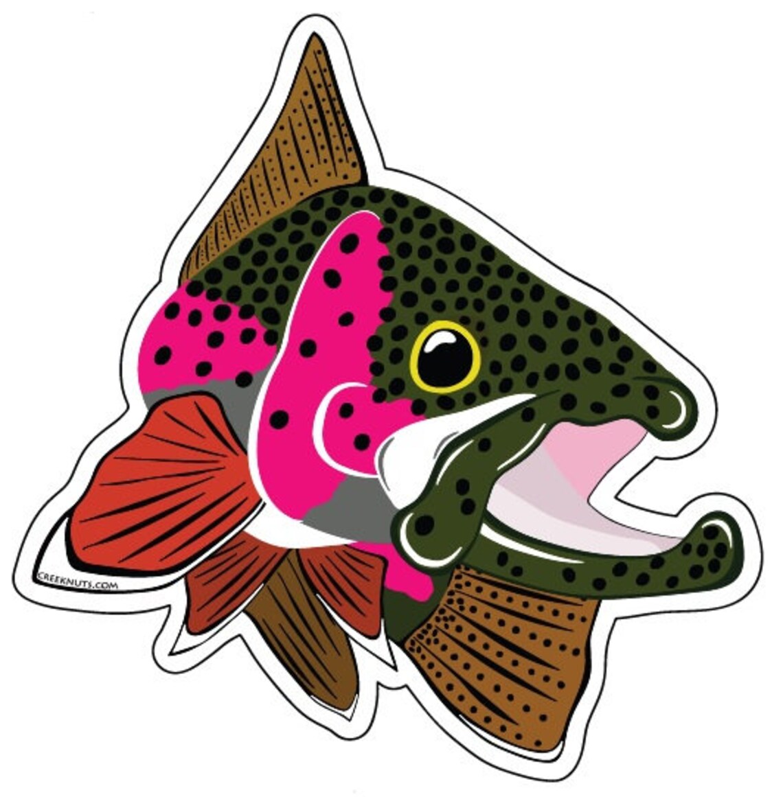 Rainbow Trout Kype Sticker Decal Etsy