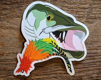 Musky with Fly Sticker Decal