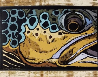 Brown Trout Sticker Decal Designed by Morgan Brown