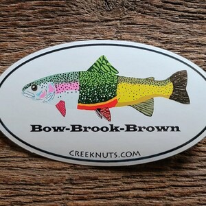 Rainbow Brook Brown Trout Sticker Decal