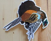 Boykin Spaniel with Pheasant Sticker Decal