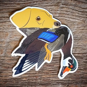 May include: A yellow Labrador Retriever with a brown and blue duck in its mouth. The duck has a bright orange beak and a white stripe on its head.